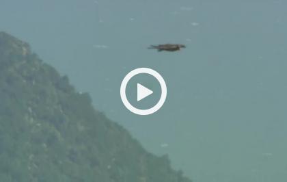 Il paesaggio con la bandiera arancione