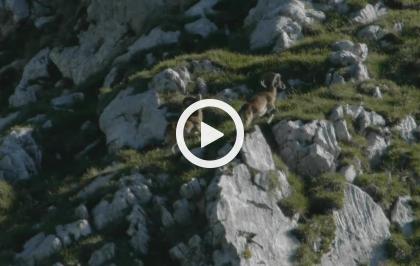 Parco Nazionale Dolomiti Bellunesi - Emozioni naturali (corto)