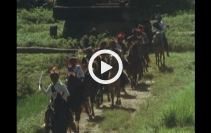 Gli ultimi grandi cavalieri - Sumba, isola dei cavalli