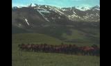 Gli ultimi grandi cavalieri - I pastori del Caucaso